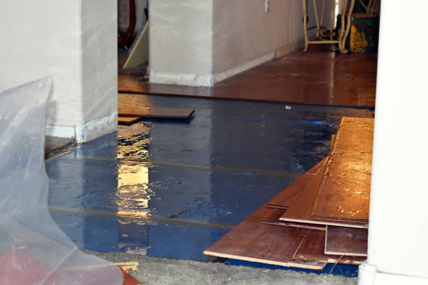 Professional Basement Flood Cleanup technician working in Jackson, WI
